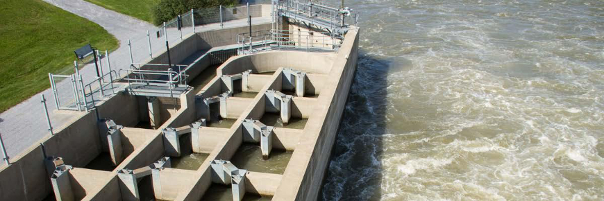 A fish ladder (concrete structure with many small chambers to allow fish to swim through).